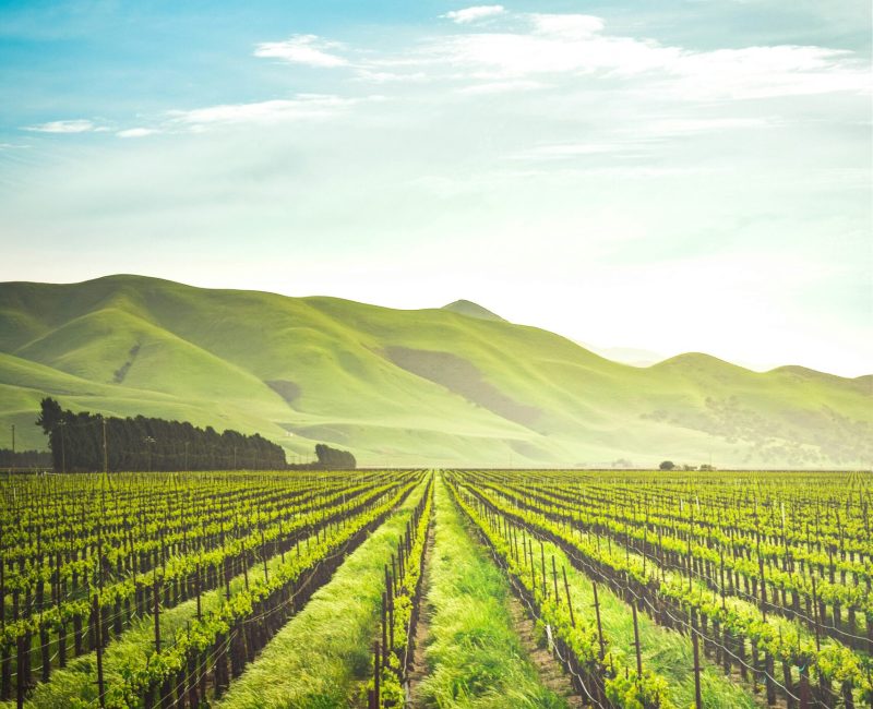 adele-payman-2oYMwuFgnTg-unsplash